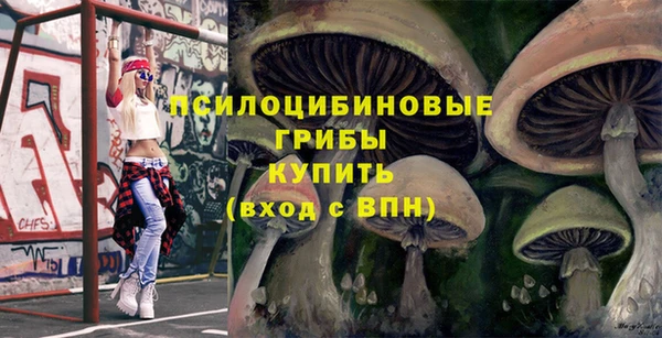 ГАЛЛЮЦИНОГЕННЫЕ ГРИБЫ Абдулино
