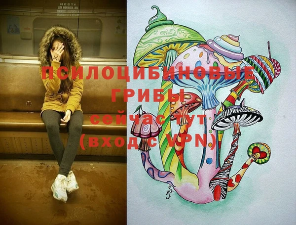 дмт Алексин