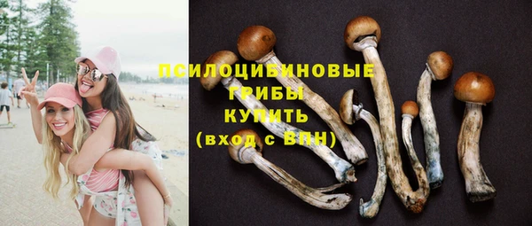 ГАЛЛЮЦИНОГЕННЫЕ ГРИБЫ Абдулино