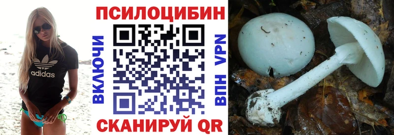 Галлюциногенные грибы Magic Shrooms  Нерчинск 
